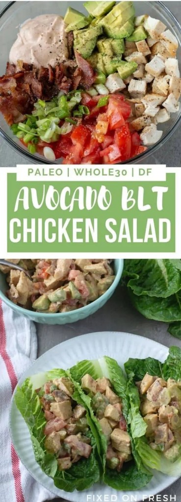 Avocado chicken salad wraps