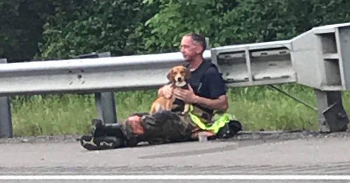 firefighter-calms-dog